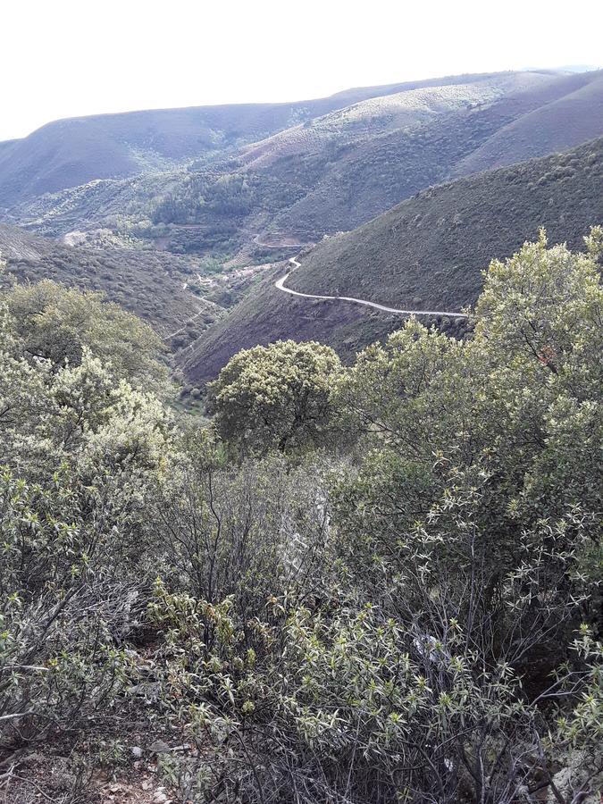 San Miguel de Valero Casa Rural Costanilla מראה חיצוני תמונה